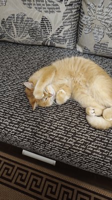 IMG_20251208_171303.jpg