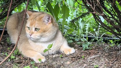 IMG_20260720_223758_476.jpg