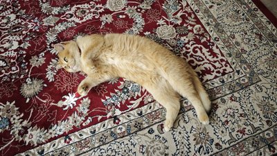 IMG_20250930_123640.jpg