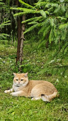 IMG_20260713_144953.jpg
