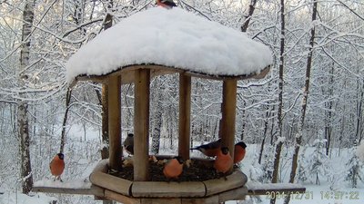 Пузырики 01.MP4